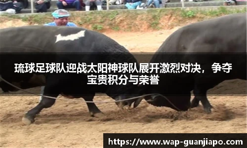 管家婆资料大全